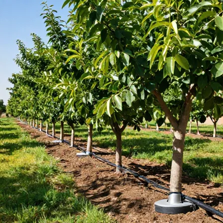 آبیاری قطره ای محمدشهر